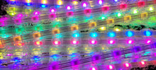 Load image into Gallery viewer, VLS Edison SeedRail