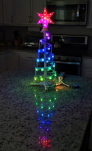 Load image into Gallery viewer, Plett Spiral Tree 50 - 2 pack