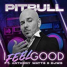 Load image into Gallery viewer, I Feel Good - Pitbull
